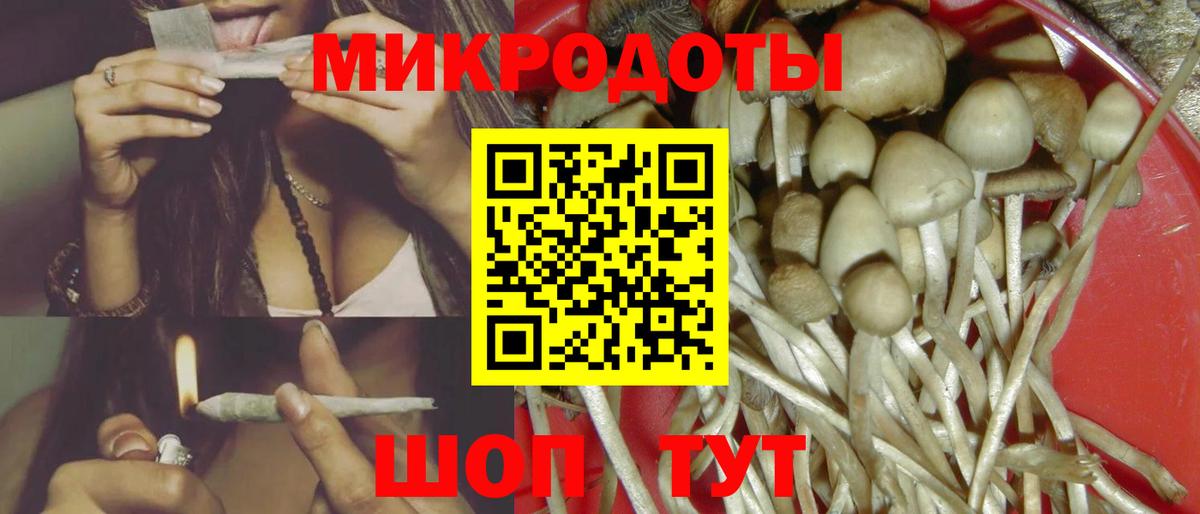 Галлюциногенные грибы Magic Shrooms  купить наркотик  Ликино-Дулёво  Псилоцибиновые грибы Psilocybe  Вход с VPN 